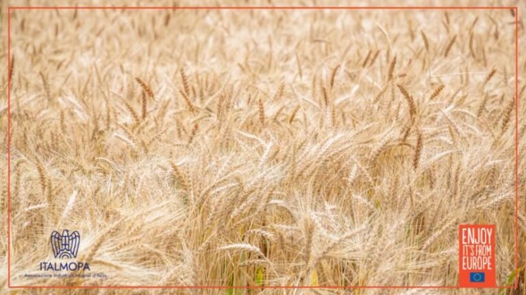 The Wonderful World of Flour: Good Flour is the Basis of Good Dough – Both Sweet and Savoury