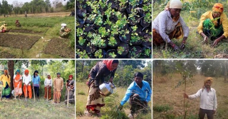 Social Organization Achieves Massive Milestone of Planting 10 Million Trees Across India
